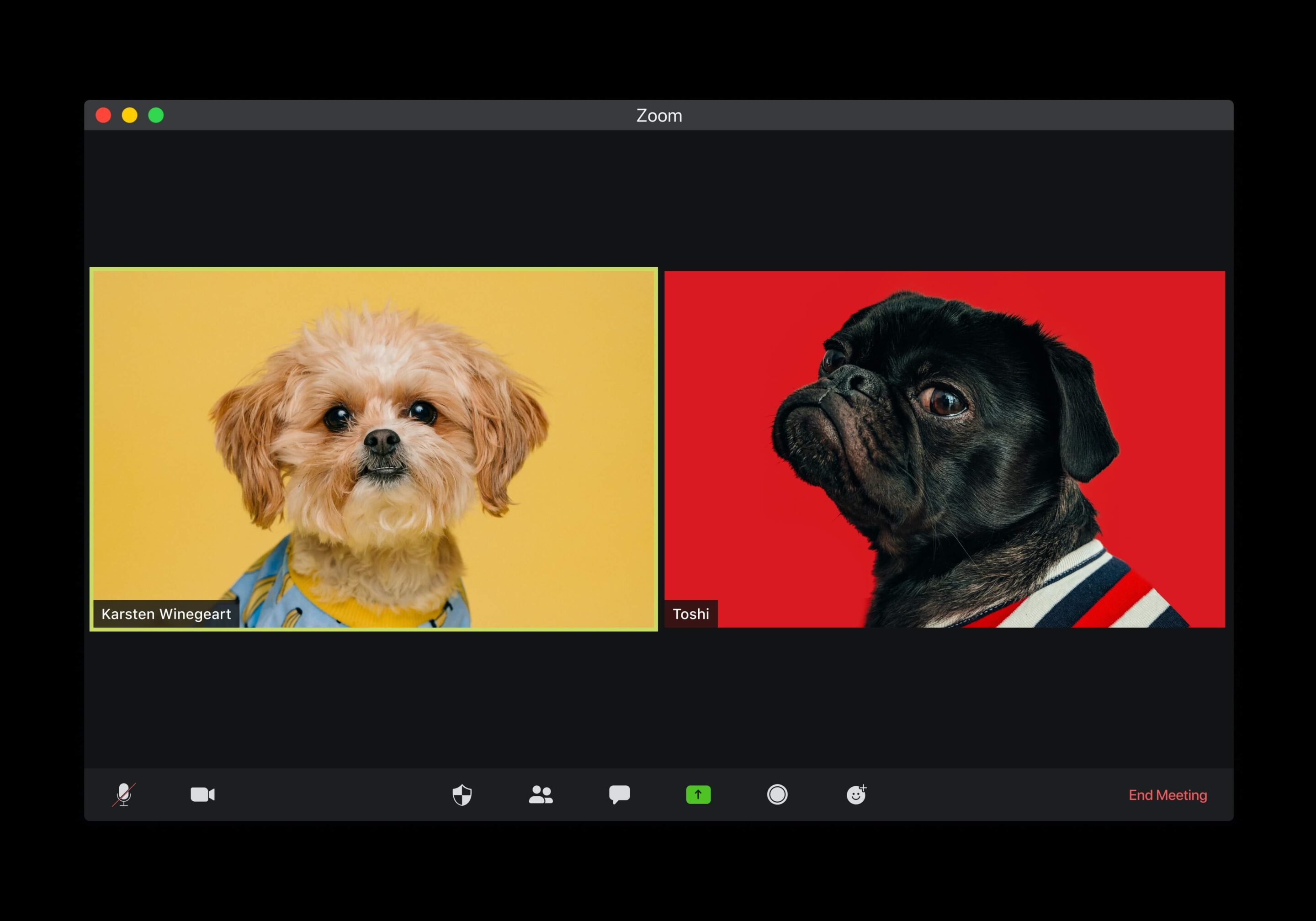 two cute dogs on a teams video call